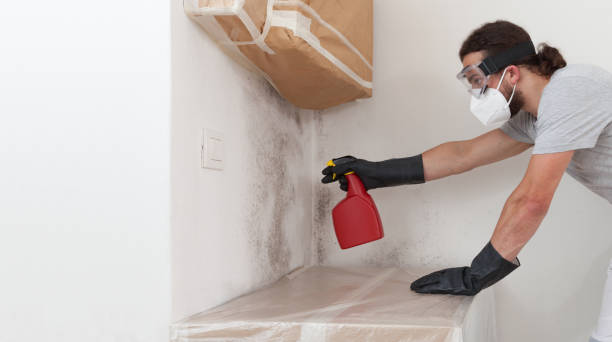 Professional Bathroom Mold Removal technician working in Wynnewood, PA